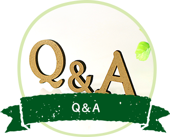 Q&A