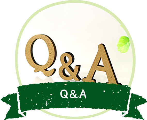 Q&A